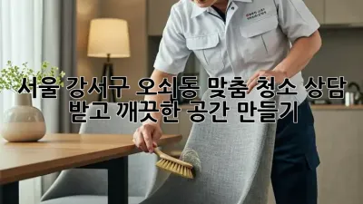 서울 강서구 오쇠동, 맞춤 청소 상담 받고 깨끗한 공간 만들기