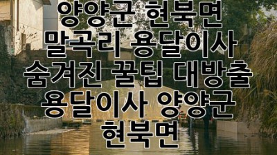 양양군 현북면 말곡리 용달이사 🚚💨 숨겨진 꿀팁 대방출! #용달이사 #양양군 #현북면